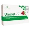Aqua Viva Urocyst 250 15 Capsule