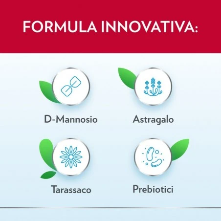 Bayer Gyno-canescystil Cistipro 14 Bustine 6 Bayer Gyno-canescystil Cistipro 14 Bustine - immagine 4