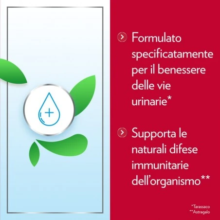 Bayer Gyno-canescystil Cistipro 14 Bustine 7 Bayer Gyno-canescystil Cistipro 14 Bustine - immagine 5