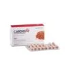 Bios Line Cardiovis Colesterolo 30 Compresse -Farmacia Point-IT bios line cardiovis colesterolo 30 compresse