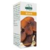 Dr. Giorgini Ser-vis Reishi 180 Pastiglie -Farmacia Point-IT dr giorgini ser vis reishi 180 pastiglie