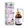 Echinaid Gola Spray Analcolico 20 Ml -Farmacia Point-IT echinaid gola spray analcolico 20 ml