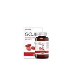 Erba Vita Group Goji Ev 60 Capsule
