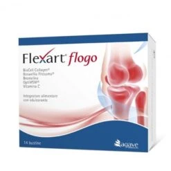 FLEXART FLOGO 14 BUSTINE