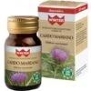 Gdp -general Dietet. Pharma Winter Cardo Mariano 30 Capsule Vegetali 1 Gdp -general Dietet. Pharma Winter Cardo Mariano 30 Capsule Vegetali -Farmacia Point-IT gdp general dietet pharma winter cardo mariano 30 capsule vegetali