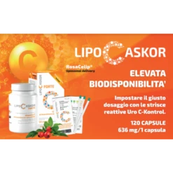Inpharm Sro Lipo C Askor Forte 120 Capsule -Farmacia Point-IT inpharm sro lipo c askor forte 120 capsule 2