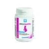 Laboratoire Nutergia Ergynatal 60 Capsule 1 Laboratoire Nutergia Ergynatal 60 Capsule -Farmacia Point-IT laboratoire nutergia ergynatal 60 capsule