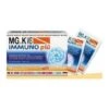 Mgk Vis Immuno Piu' 14 Buste -Farmacia Point-IT mgk vis immuno piu 14 buste