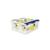 Nestle' It. Resource Aqua Acqua Gelificata+lemon Cup 6 4x125 G 1 Nestle' It. Resource Aqua Acqua Gelificata+lemon Cup 6 4x125 G -Farmacia Point-IT nestle it resource aqua acqua gelificatalemon cup 6 4x125 g