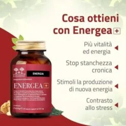 Salugea Energea+ 60 Capsule -Farmacia Point-IT salugea energea 60 capsule 2