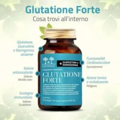 Salugea Glutatione Forte 60 Capsule 11 Salugea Glutatione Forte 60 Capsule -Farmacia Point-IT salugea glutatione forte 60 capsule 2