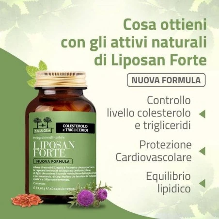 Salugea Liposan Forte Nuova Formula 60 Capsule 9 Salugea Liposan Forte Nuova Formula 60 Capsule - immagine 7