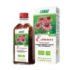Salus Haus Echinacea Succo 200 Ml Bio 1 Salus Haus Echinacea Succo 200 Ml Bio -Farmacia Point-IT salus haus echinacea succo 200 ml bio