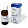 Sarandrea Marco &c. Carpinus Betulus 100 Ml Macerato Glicerico -Farmacia Point-IT sarandrea marco c carpinus betulus 100 ml macerato glicerico