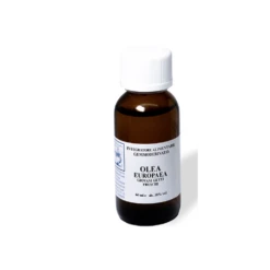 Sarandrea Marco &c. Extragem Olivo Giovani Getti Gocce 20 Ml 5 Sarandrea Marco &c. Extragem Olivo Giovani Getti Gocce 20 Ml -Farmacia Point-IT sarandrea marco c extragem olivo giovani getti gocce 20 ml 1