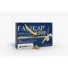 Shedir Pharma Unipersonale Fastcap 500 30 Compresse Rivestite -Farmacia Point-IT shedir pharma unipersonale fastcap 500 30 compresse rivestite