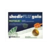 SHEDIRFLU GOLA AL MENTOLO EUCALIPTO 2 SHEDIRFLU GOLA AL MENTOLO EUCALIPTO -Farmacia Point-IT shedirflu gola al mentolo eucalipto