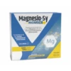 Syrio Magnesio Sy Ricarica 20 Bustine -Farmacia Point-IT syrio magnesio sy ricarica 20 bustine
