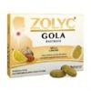 ZOLYC GOLA MIELE/LIMONE 24 PASTIGLIE -Farmacia Point-IT zolyc gola miele limone 24 pastiglie